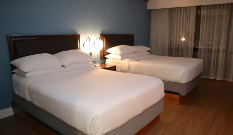 Delta Hotels by Marriott San José Aurola - Standard Room