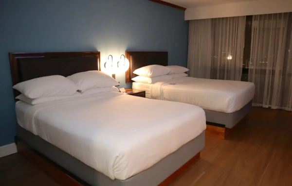 Delta Hotels by Marriott San José Aurola - Standard Room