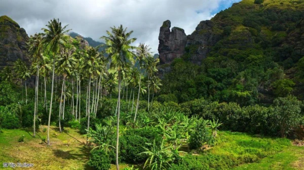 Lush green tropical valley on Ua Huka island featuring towering palm trees and rugged volcanic rock formations