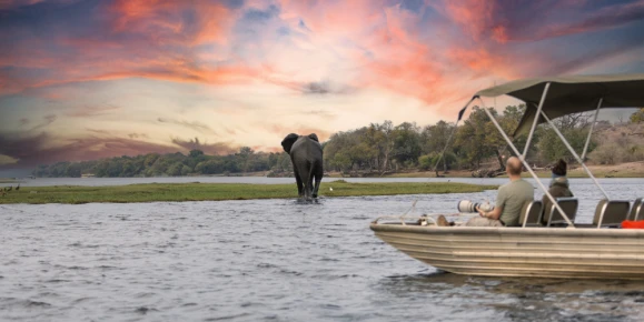 Tourists in a boat observe elephants along the riverside of Chobe River in Chobe National Park, Botswana.