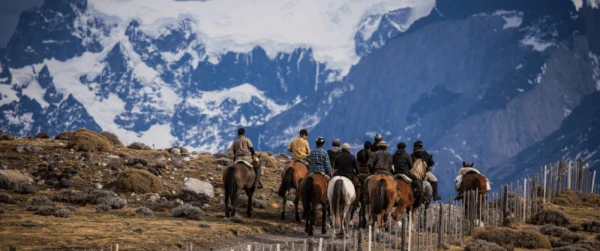Horseback riding group in a mountain trail