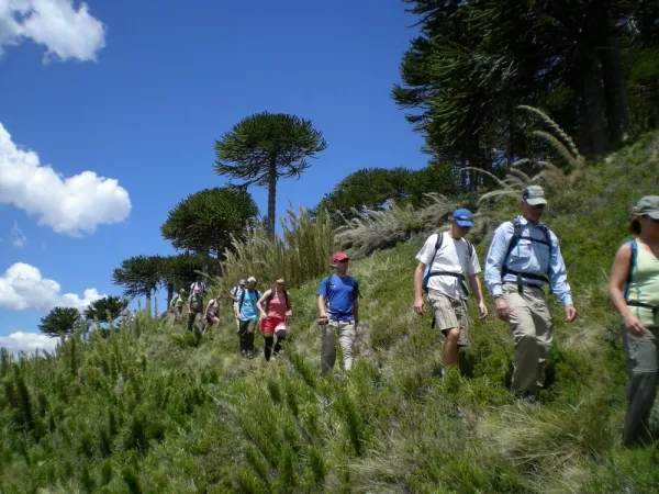 Hiking in Alerce Andino National Park