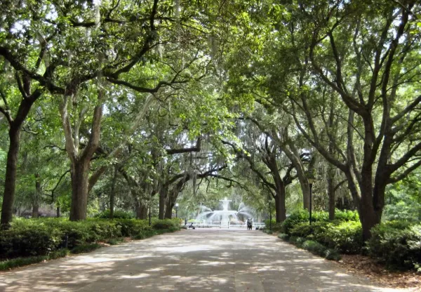 Savannah's beautiful Forsyth Park.