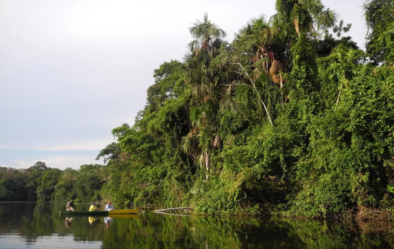 Exploring the Bolivian rainforest in a traditional dug out canoe at Chalalan Lodge