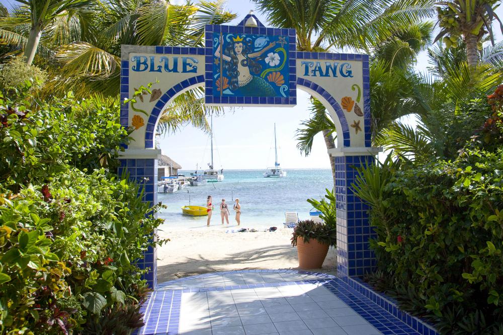 Blue Tang Inn - hotel for our Belize tours