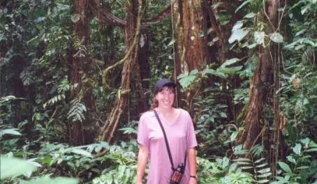 Exploring the rainforest