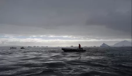 Pleneau Island: home of the "Iceberg Graveyard"