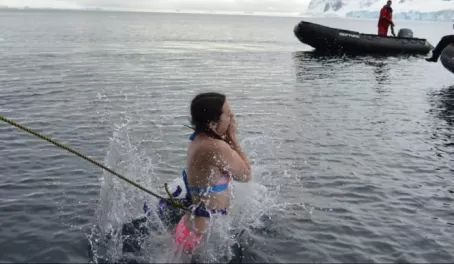 Polar Plunge: Into the icy abyss