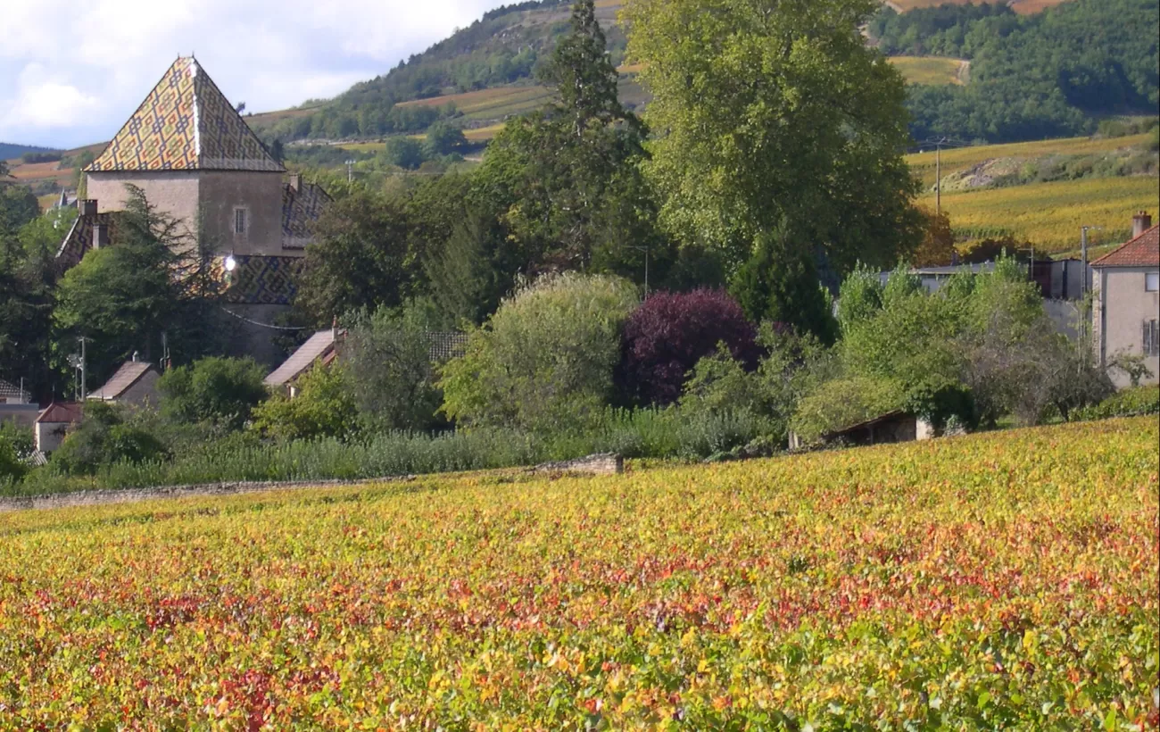 Vineyards and chateaus