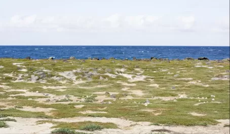 The barren beach of Mosquera