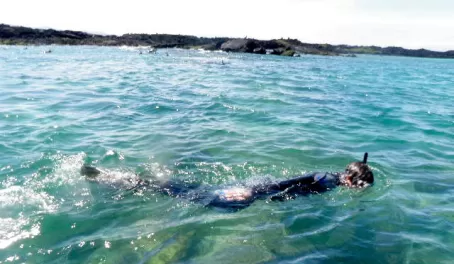 Snorkeling in the Galapagos