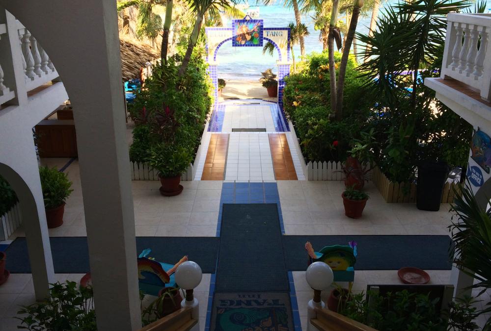Blue Tang Inn - hotel for our Belize tours