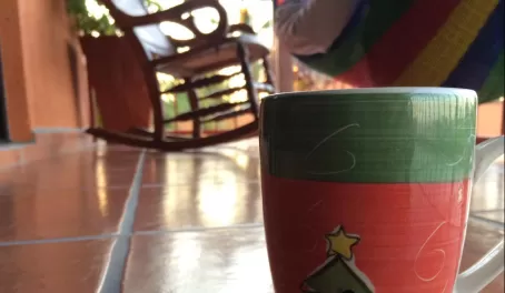 I found a Christmas mug!
