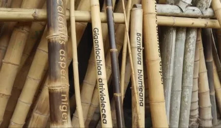 Bamboo factory