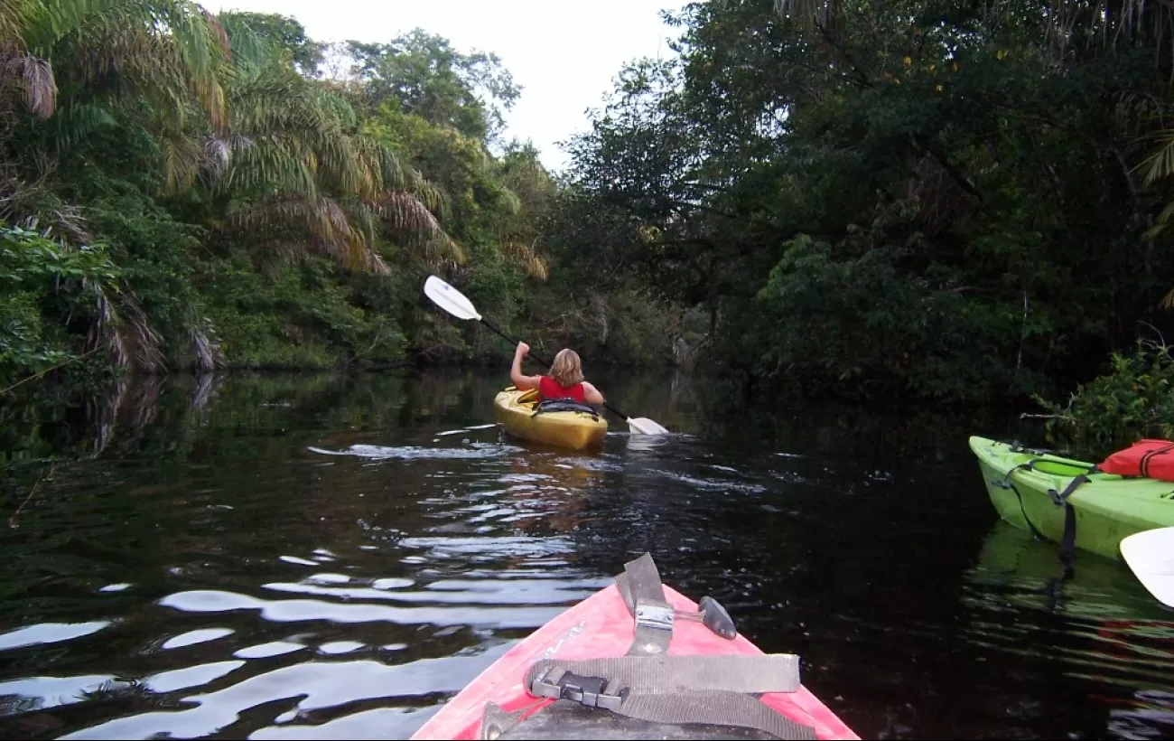 Kayaking through the Costa Rican rainforest