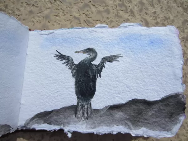 acrylics, flightless cormorant, single page