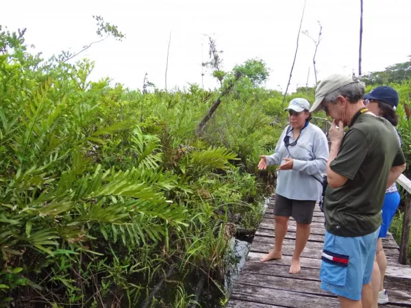 our guide explains the ecology on Cayo Zapatilla