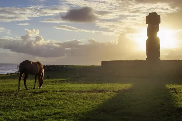 Horse grazing at sunset among moai