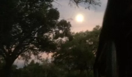 Moon rise over Mfuwe