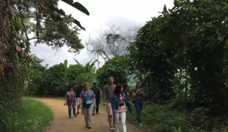 Walking around an organic coffee farm