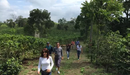 Hiking in a coffee farm