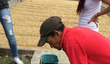 Inspecting our coffee beans