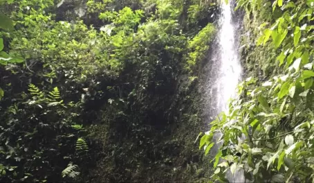 Playing in a waterfall in Colombia