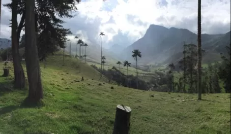 Beautiful valley in the central valley of Colombia