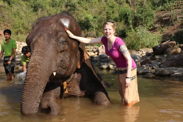 Elephant bath time! Laura Cahill