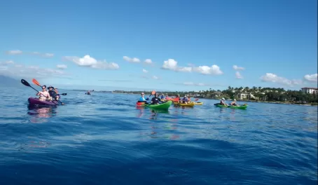 Sea Kayaking!