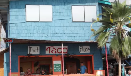 Little taco shack