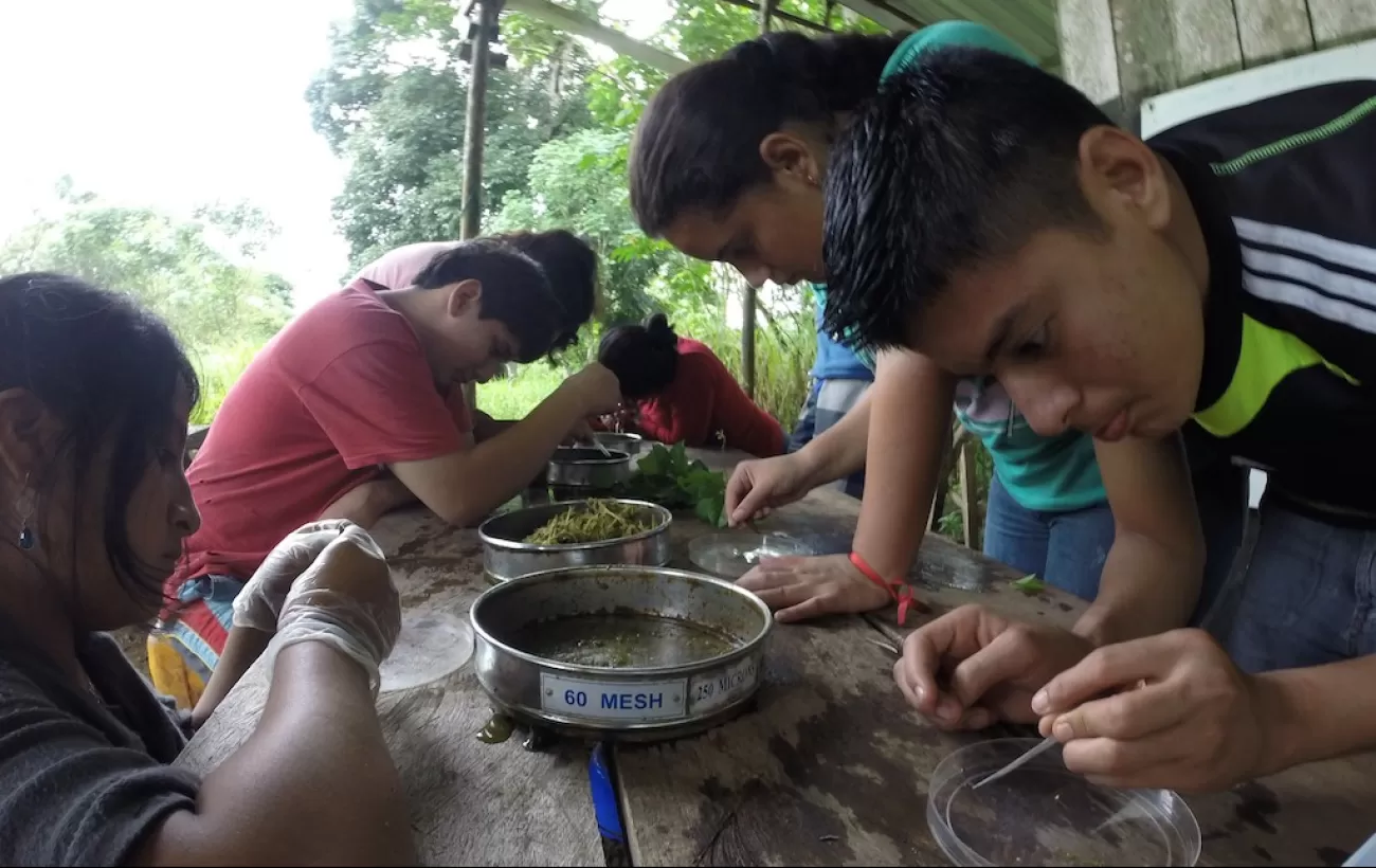 Local students working on conservation projects, Ecology Project International