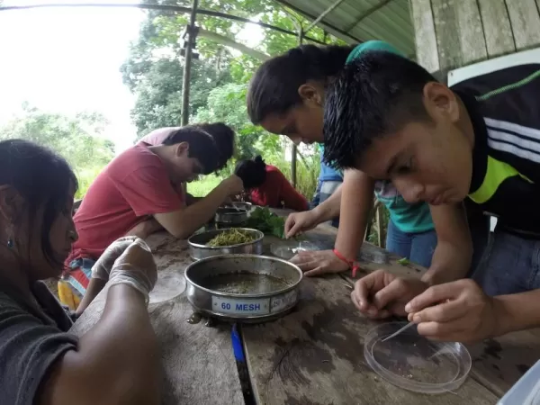 Local students working on conservation projects, Ecology Project International
