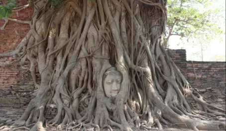 Wat Mahathat of Ayutthaya